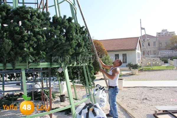 tree 3ed milad 1202 (4).JPG